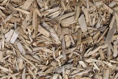 biomass boilers Dunster
